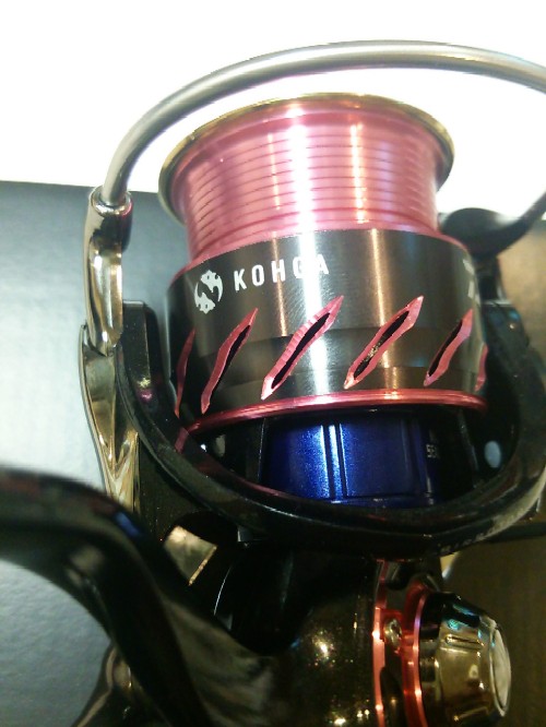 koga1.jpg